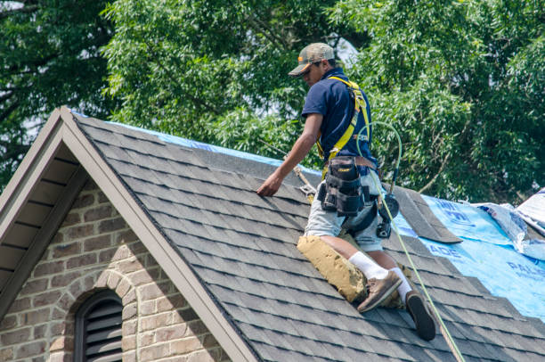 Professional Roofing Contractor in Falmouth, KY